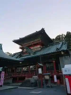 静岡浅間神社の本殿・本堂