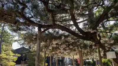 智恩寺(京都府)