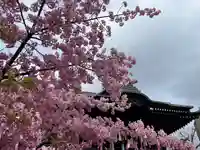 桜神宮の自然
