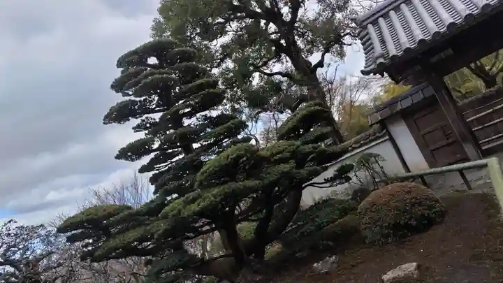 華厳寺(鈴虫寺)(京都府)