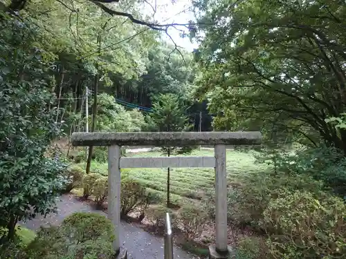 堀口天満天神社の鳥居