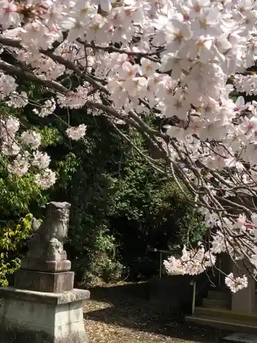 春日神社(福井県)