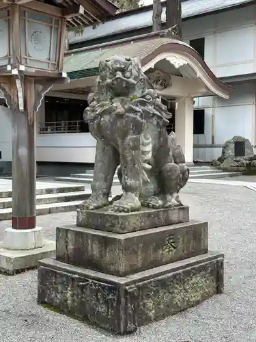 白山比咩神社の狛犬