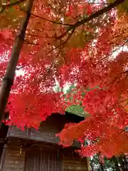 滑川神社 - 仕事と子どもの守り神の建物その他