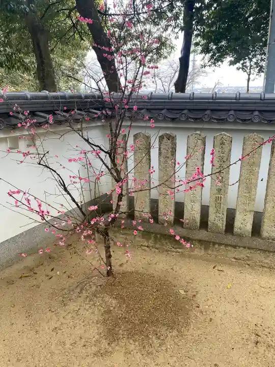 淡路神社の自然