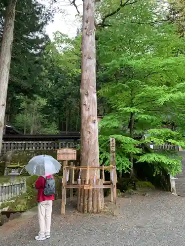 諏訪大社(長野県)