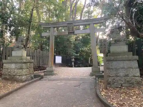 平塚八幡宮の鳥居