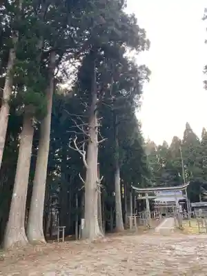 諏訪神社の鳥居