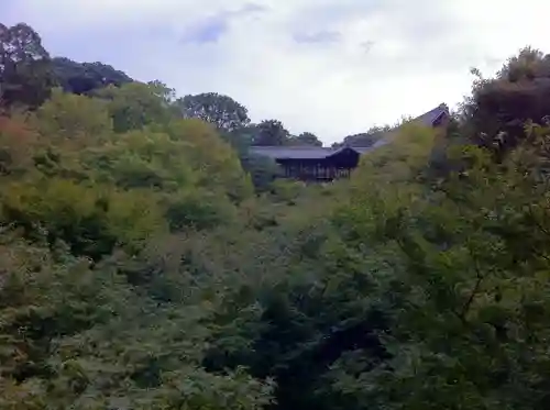 東福禅寺（東福寺）の景色