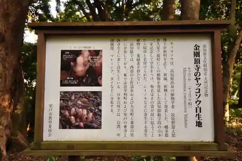 金剛頂寺(高知県)