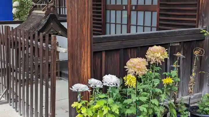 離宮八幡宮(京都府)