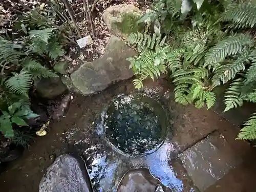 明治神宮(東京都)