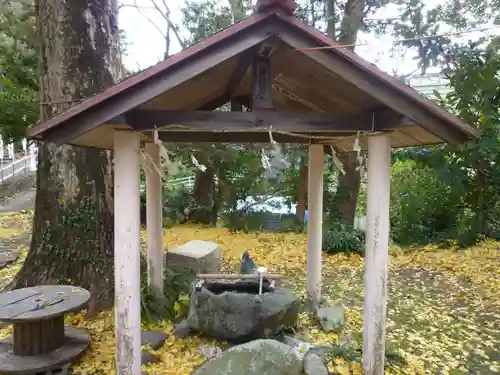 大山祇神社の手水舎
