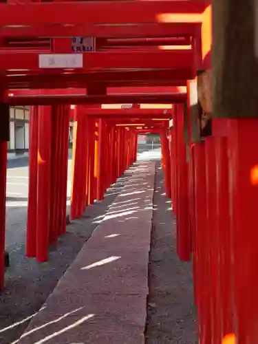 小泉稲荷神社の鳥居