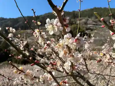 二之宮八幡神社(徳島県)
