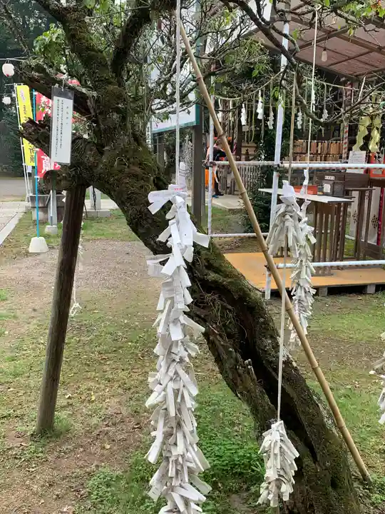 大生郷天満宮の自然