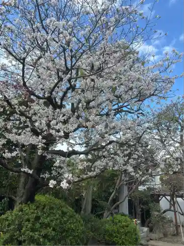 東陽院(東京都)