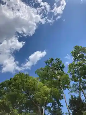 羽束師坐高御産日神社の自然