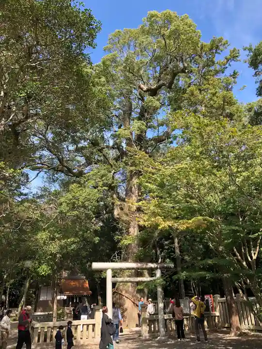 伊弉諾神宮の自然