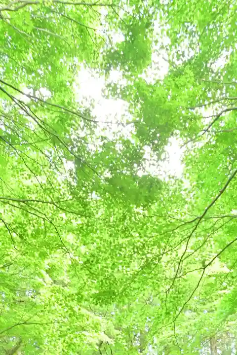 国上寺(新潟県)