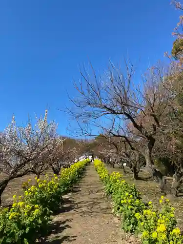 神前神社(岡山県)