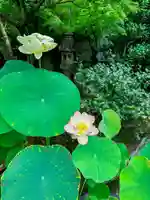 伊勢の国 四天王寺(三重県)