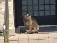 宗善寺(和歌山県)