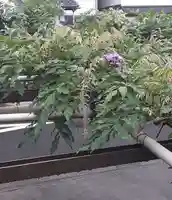 西方山極楽寺(岐阜県)