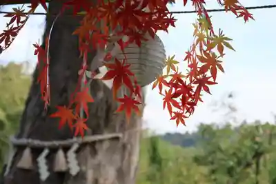 阿久津「田村神社」(郡山市阿久津町)旧社名:伊豆箱根三嶋三社の手水舎
