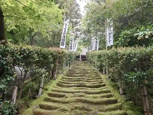 杉本寺の{uncategorized: "未分類", other: "その他", undefined: "問題あり", building: "その他建物", grave: "お墓", sacred_gate: "鳥居", guardian: "狛犬", statue: "像", buddha: "仏像", history: "歴史", nature: "自然", garden: "庭園", animal: "動物", pagoda: "塔", temizu: "手水舎", mountain_gate: "山門・神門", sanctuary: "本殿・本堂", subordinate: "末社・摂社", art: "芸術", scenery: "景色", jizo: "地蔵", ema: "絵馬", goshuin: "御朱印", omikuji: "おみくじ", items: "授与品その他", amulet: "お守り", goshuincho: "御朱印帳", eats: "食事", festival: "お祭り", votive_dance: "神楽", shichigosan: "七五三参", wedding: "結婚式", experience: "体験その他", initially: "初詣", around: "周辺", anti_infection: "感染症対策"}
