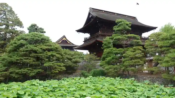 善光寺大勧進(長野県)