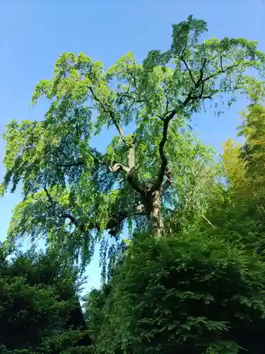 田村大元神社(福島県)