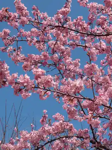 宗仲寺(神奈川県)