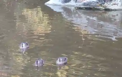 刺田比古神社(和歌山県)