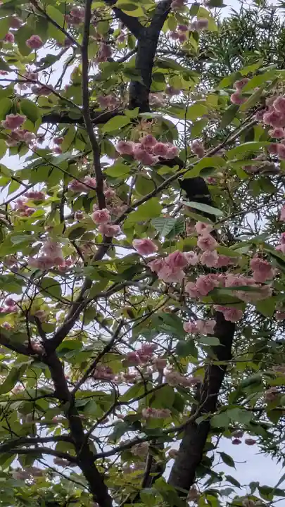 石田神社(京都府)