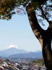 高幡不動尊　金剛寺の景色