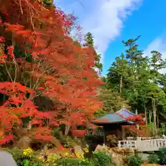 尊永寺の自然