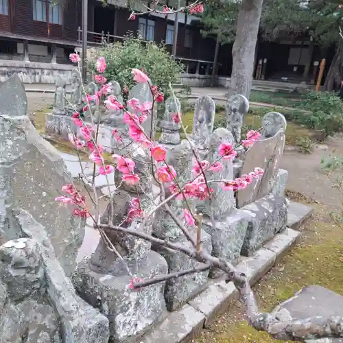 円覚寺の{uncategorized: "未分類", other: "その他", undefined: "問題あり", building: "その他建物", grave: "お墓", sacred_gate: "鳥居", guardian: "狛犬", statue: "像", buddha: "仏像", history: "歴史", nature: "自然", garden: "庭園", animal: "動物", pagoda: "塔", temizu: "手水舎", mountain_gate: "山門・神門", sanctuary: "本殿・本堂", subordinate: "末社・摂社", art: "芸術", scenery: "景色", jizo: "地蔵", ema: "絵馬", goshuin: "御朱印", omikuji: "おみくじ", items: "授与品その他", amulet: "お守り", goshuincho: "御朱印帳", eats: "食事", festival: "お祭り", votive_dance: "神楽", shichigosan: "七五三参", wedding: "結婚式", experience: "体験その他", initially: "初詣", around: "周辺", anti_infection: "感染症対策"}