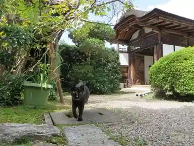 長岳寺(奈良県)