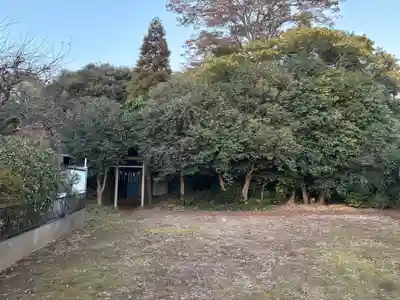 諏訪神社(千葉県)