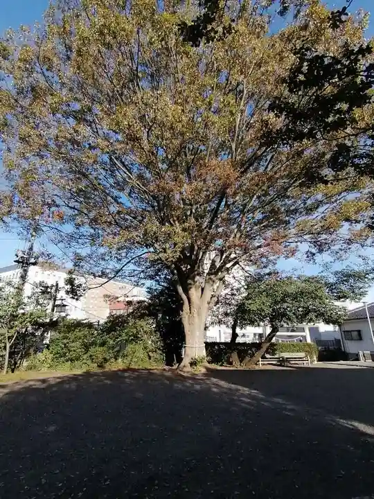 別雷皇太神の自然