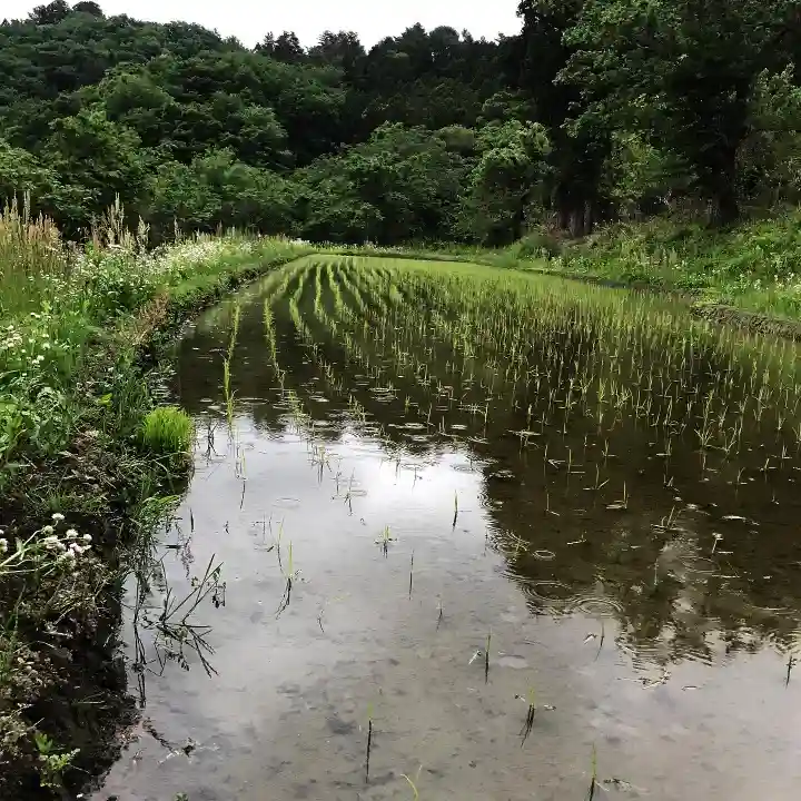 高司神社〜むすびの神の鎮まる社〜の自然