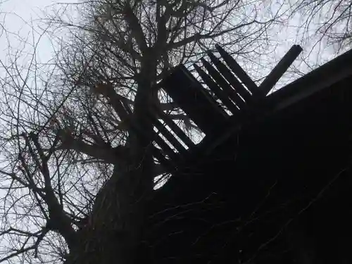 高円寺氷川神社の自然