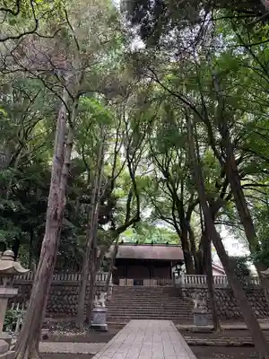 洲崎大神(神奈川県)