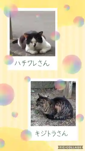 吉備津神社の動物