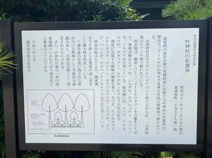 叶神社(東叶神社)(神奈川県)