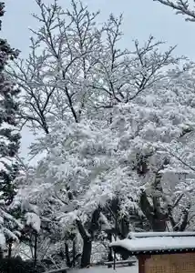 蚊里田八幡宮(長野県)(2025年01月29日(水) 16時43分31秒投稿)