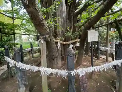 稲毛神社(神奈川県)