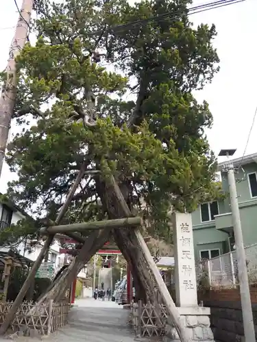荏柄天神社(神奈川県)