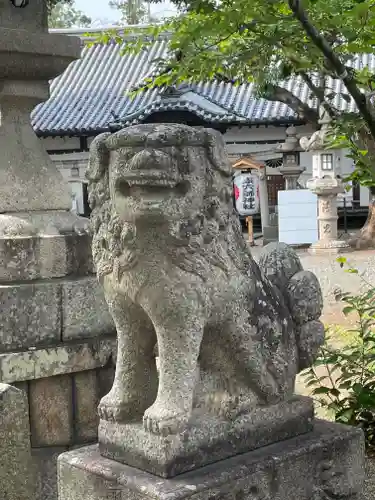 泉穴師神社の狛犬